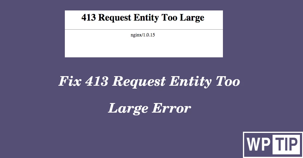 Fix 413 Request Entity Too Large Error