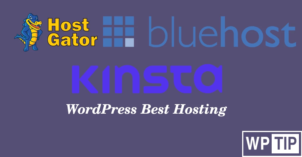 wordpress hosting company
